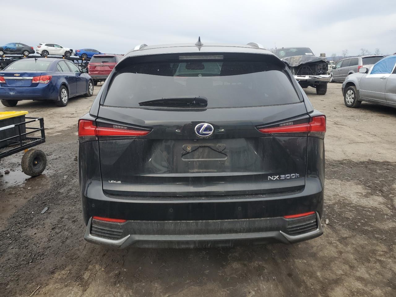 2019 Lexus NX - Image 6