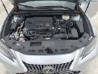 2024 Lexus Es 300H Base en Venta en Arcadia, FL - Water/Flood
