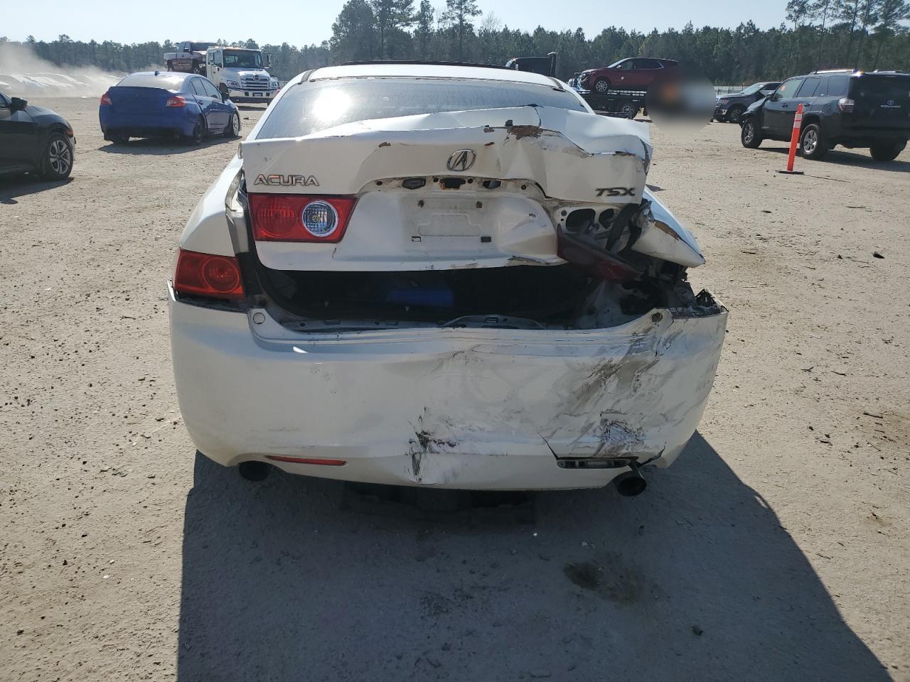 2004 Acura Tsx VIN: JH4CL96954C027695 Lot: 44243455