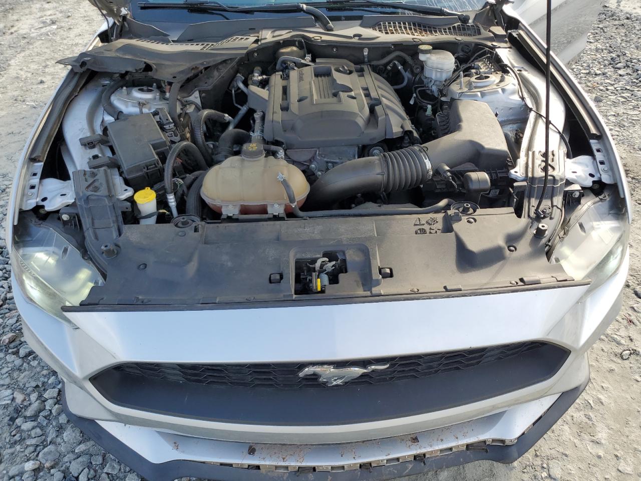 1FA6P8TH5K5199225 FORD ALL Models 2019