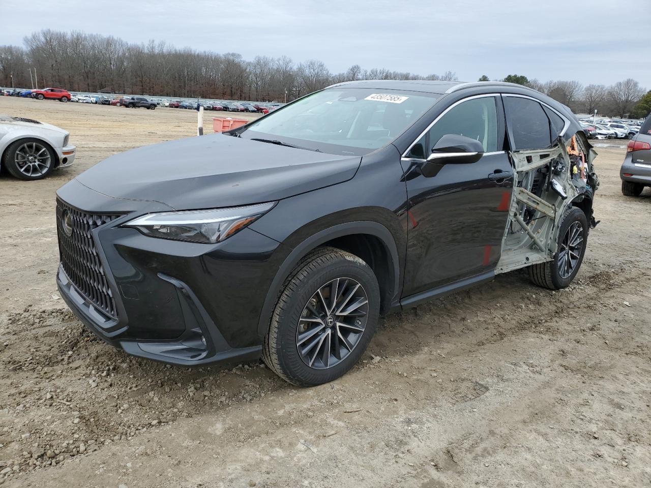 2022 Lexus NX - Image 1