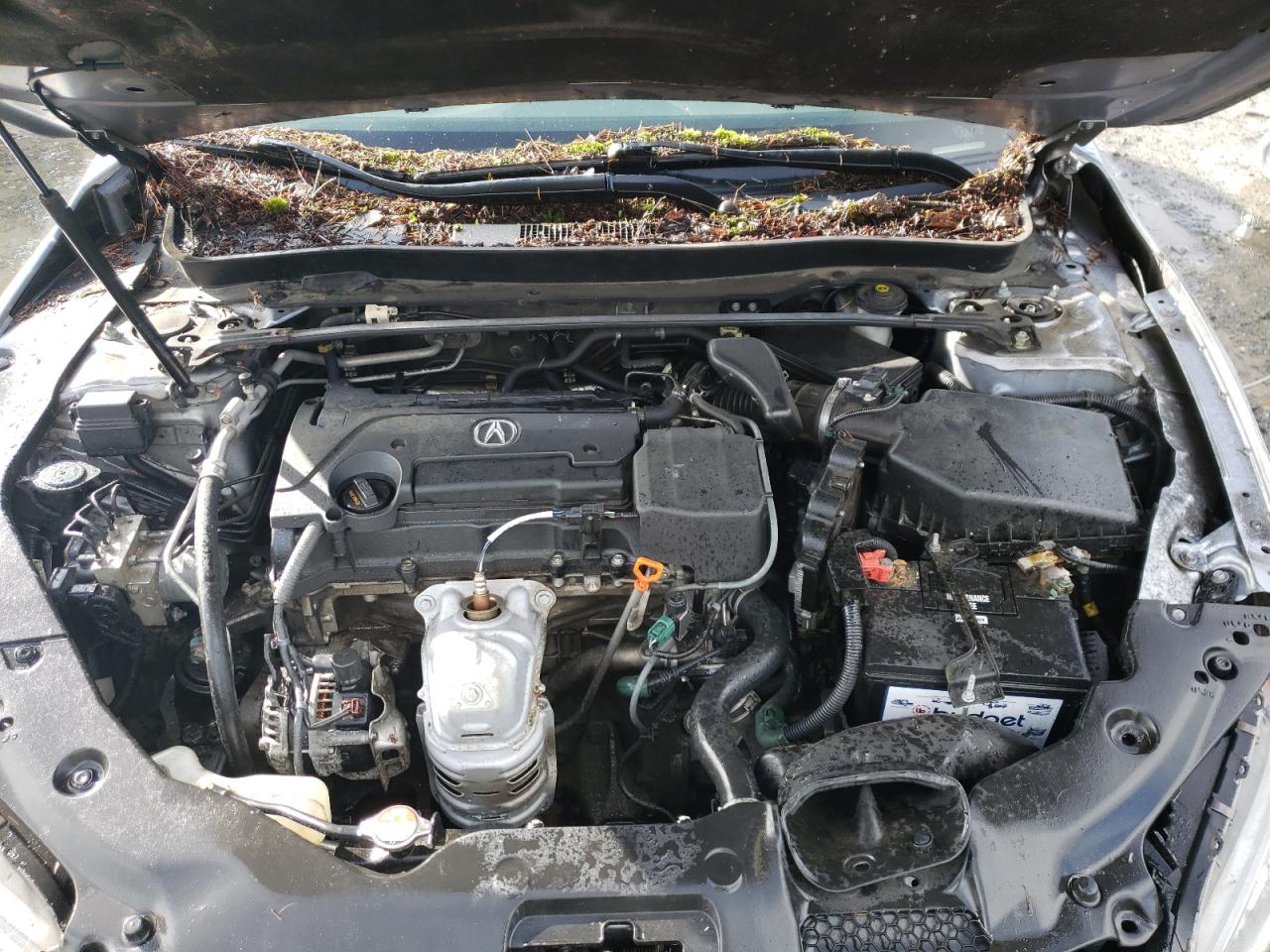 2015 Acura TLX - Image 11