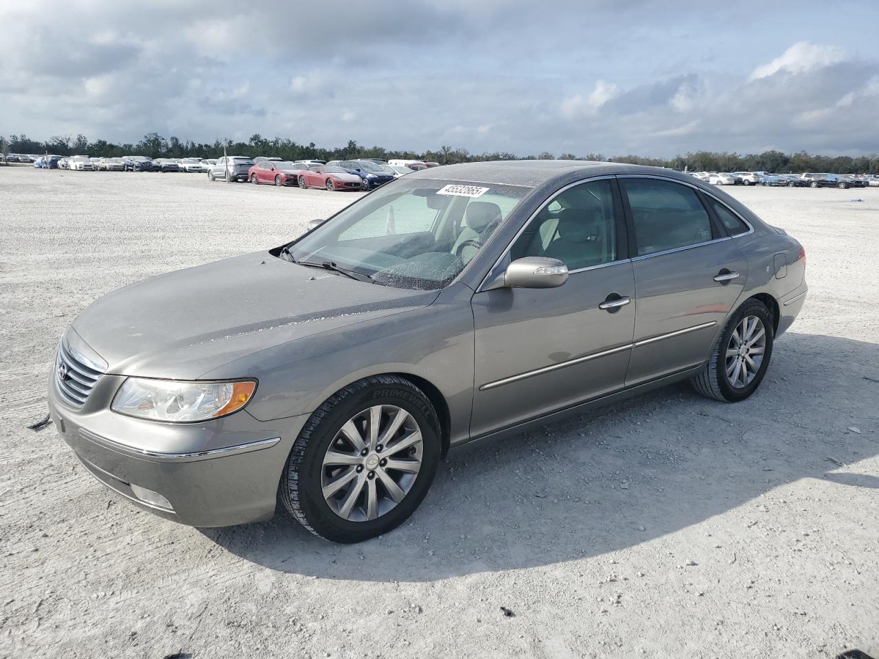 2009 Hyundai Azera Se for Sale in Arcadia, FL - Rear End
