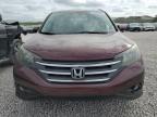 2013 Honda Cr-V Exl იყიდება West Palm Beach-ში, FL - Side