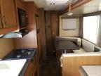 2014 Starcraft Travel Tra იყიდება New Braunfels-ში, TX - Hail