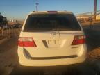 2005 Honda Odyssey Ex იყიდება Albuquerque-ში, NM - Water/Flood