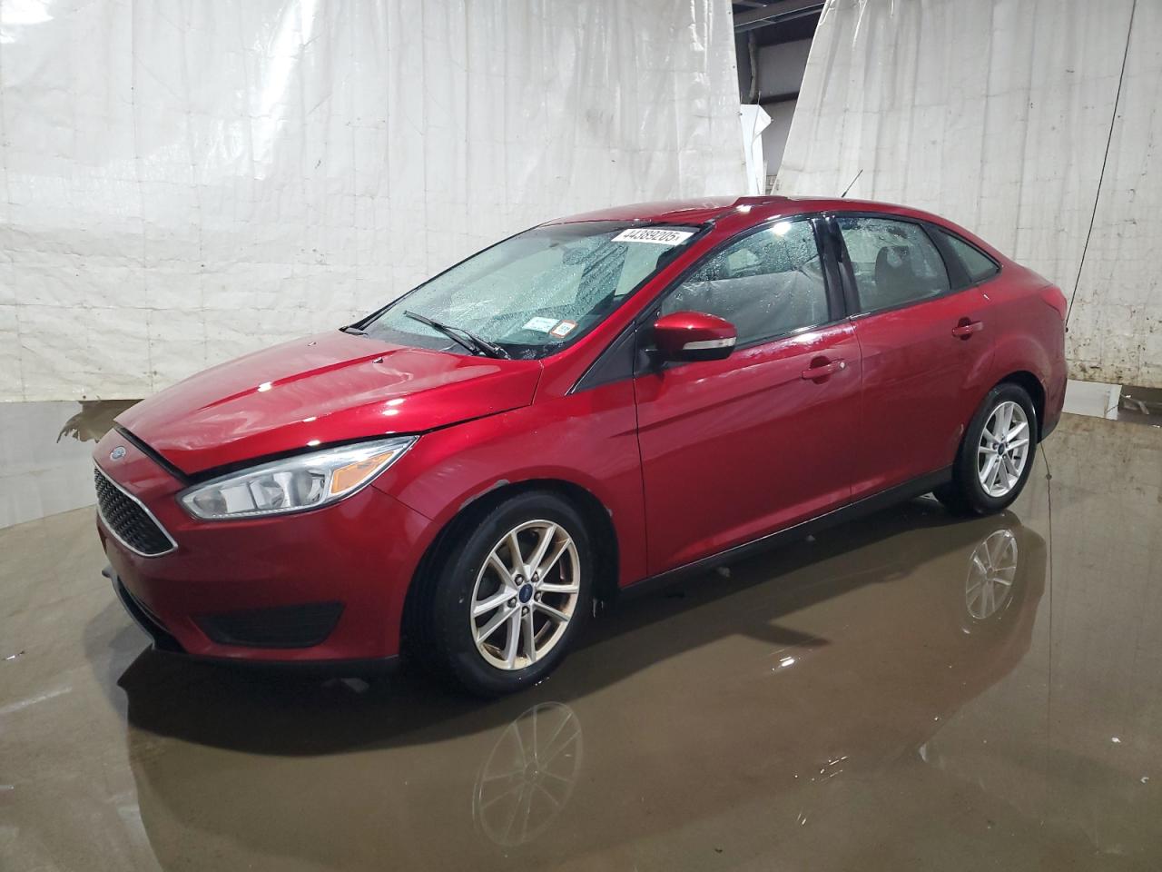 2015 Ford Focus - Image 1