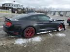 North Billerica, MA에서 판매 중인 2015 Ford Mustang Gt - Front End