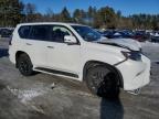 2020 Lexus Gx 460 Premium للبيع في Mendon، MA - Front End