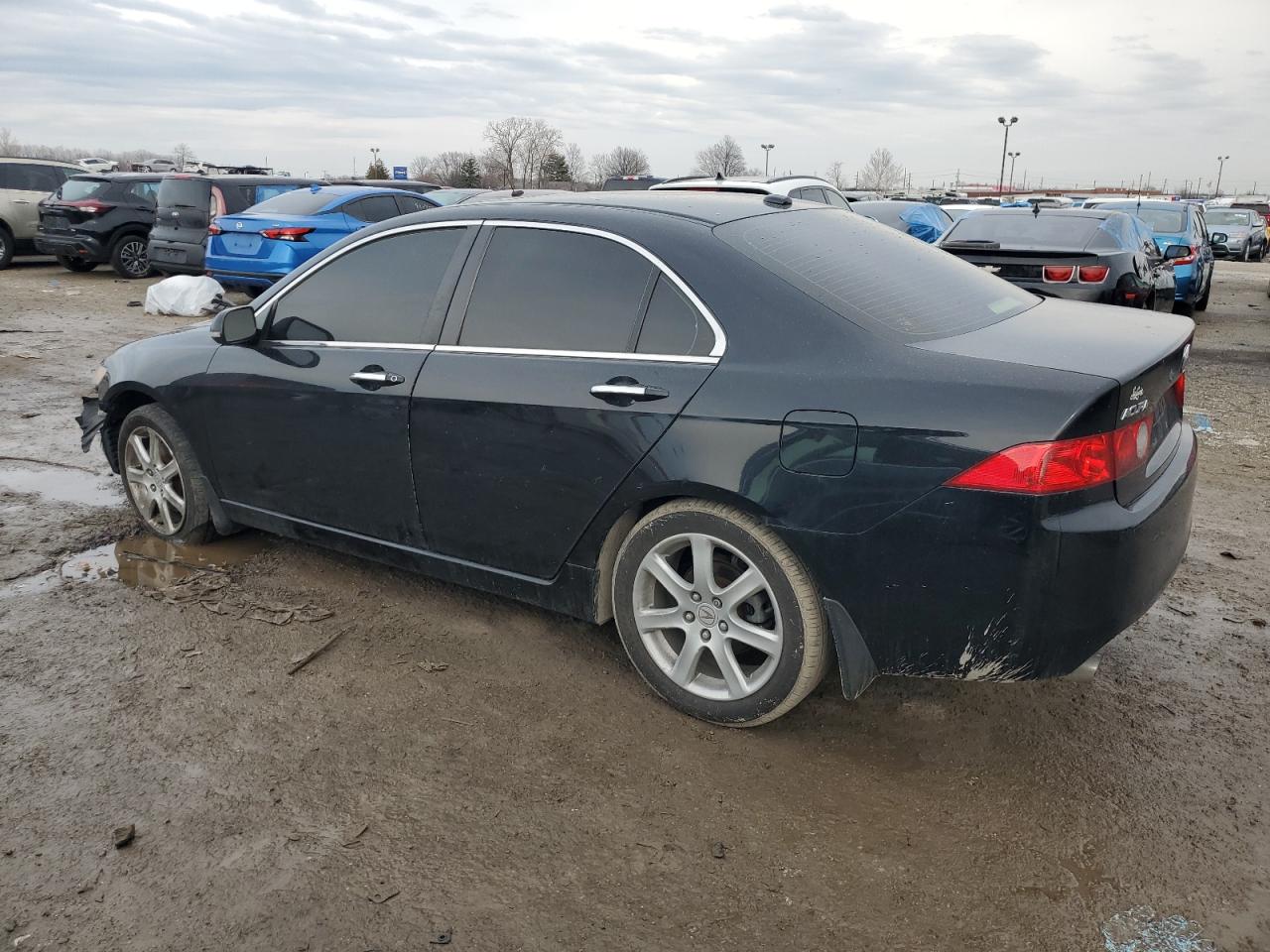 2005 Acura TSX - Image 2