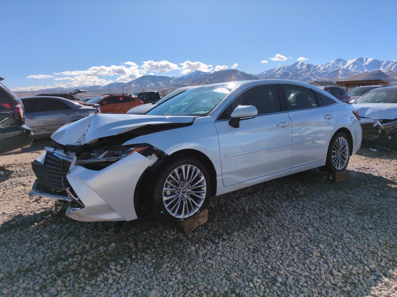 2019 Toyota Avalon - Image 1