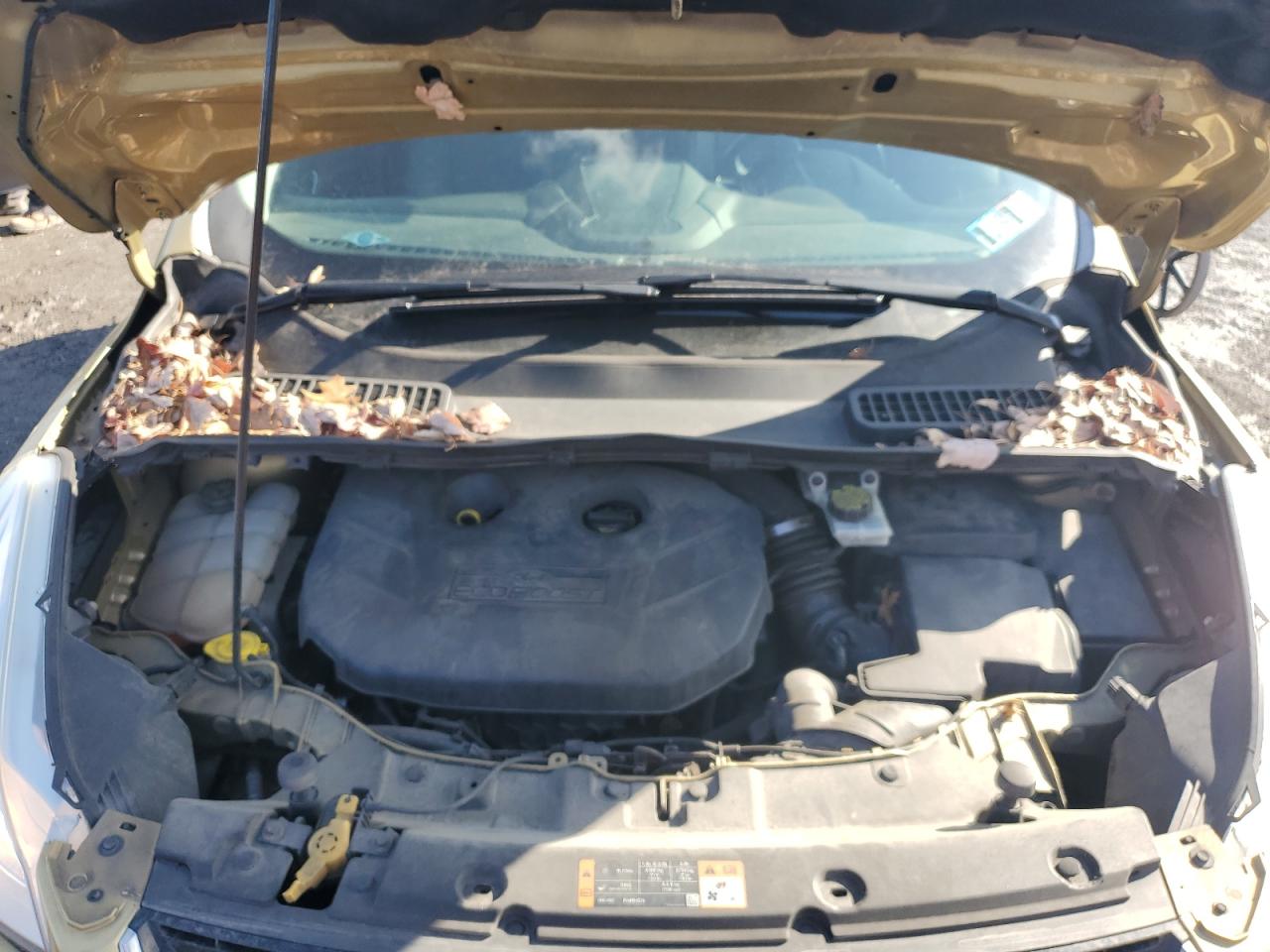 2014 Ford Escape - Image 12