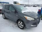 2016 Ford Escape Se за продажба в Woodhaven, MI - Mechanical
