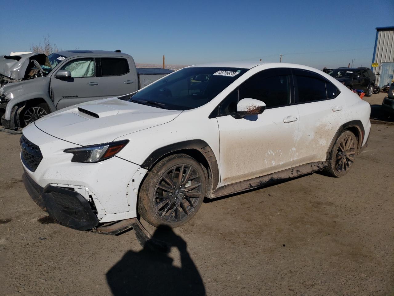 2022 Subaru Wrx Premium for Sale in Albuquerque, NM - Front End