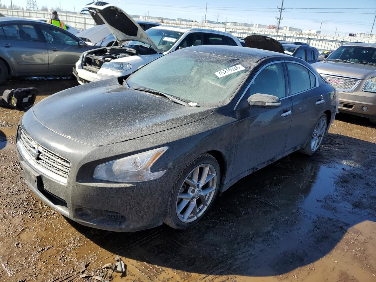 2010 Nissan Maxima S for Sale in Elgin, IL - Rear End