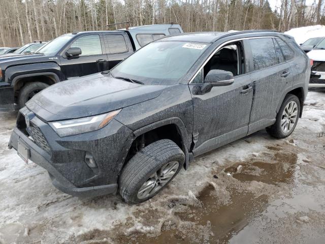 2022 TOYOTA RAV4 XLE for sale at Copart ON - COOKSTOWN