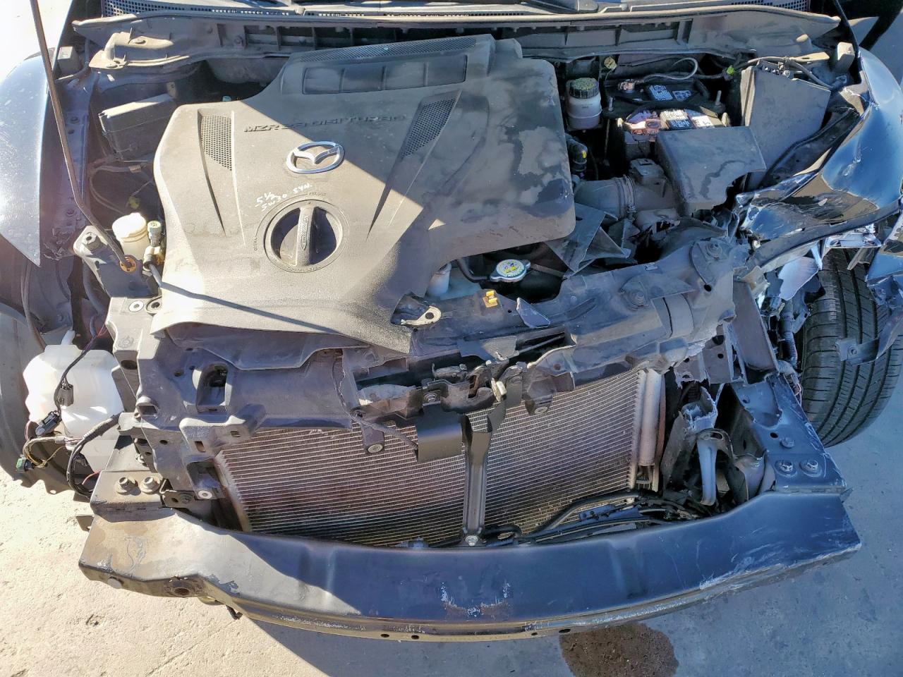 2007 Mazda Cx-7 VIN: JM3ER293670135036 Lot: 46693005