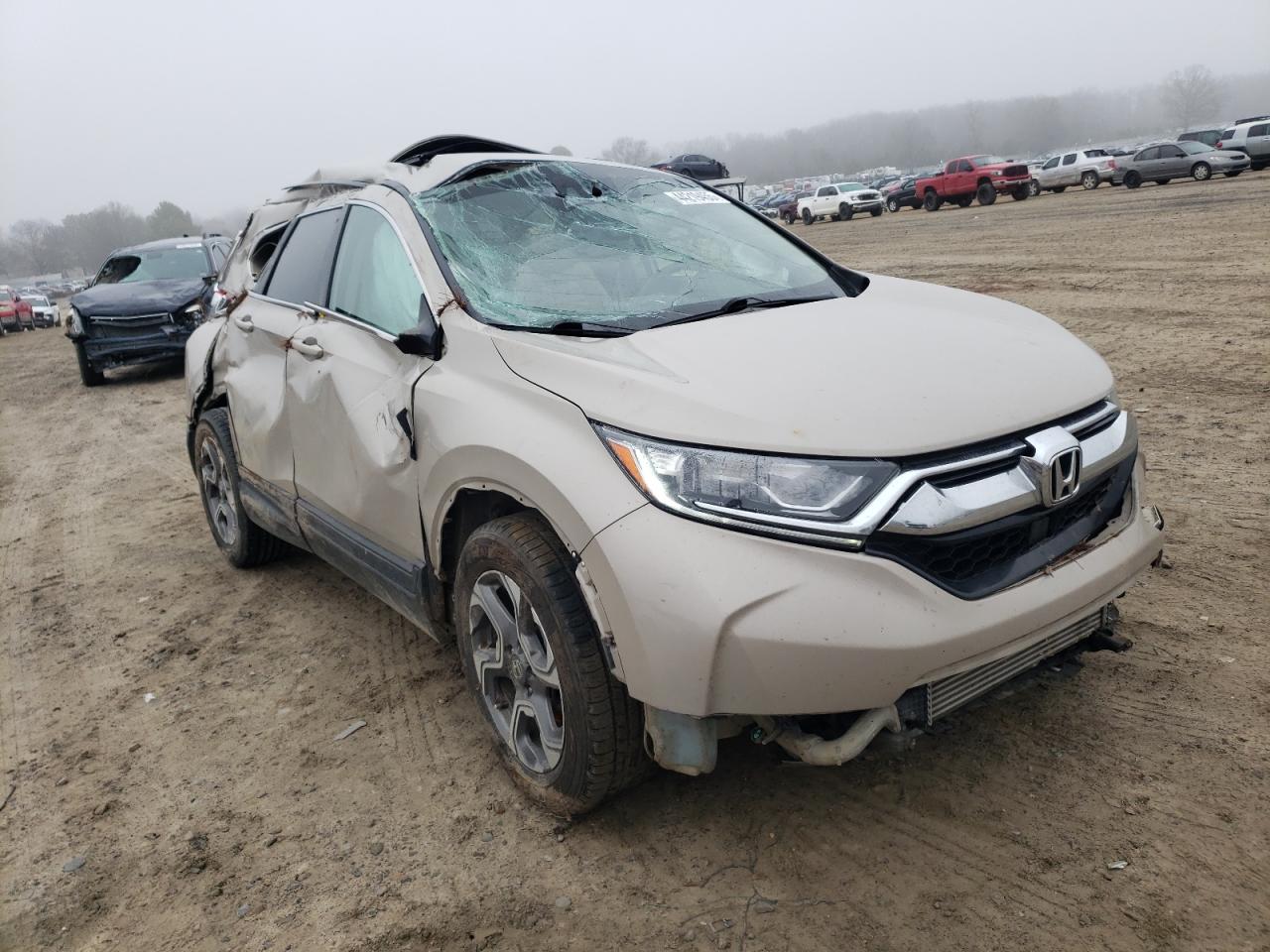 2019 Honda CR-V - Image 4