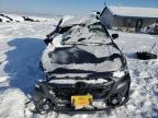2025 Subaru Outback Premium for Sale in Helena, MT - All Over