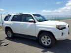 2024 Toyota 4Runner Sr5/Sr5 Premium de vânzare în Kapolei, HI - All Over