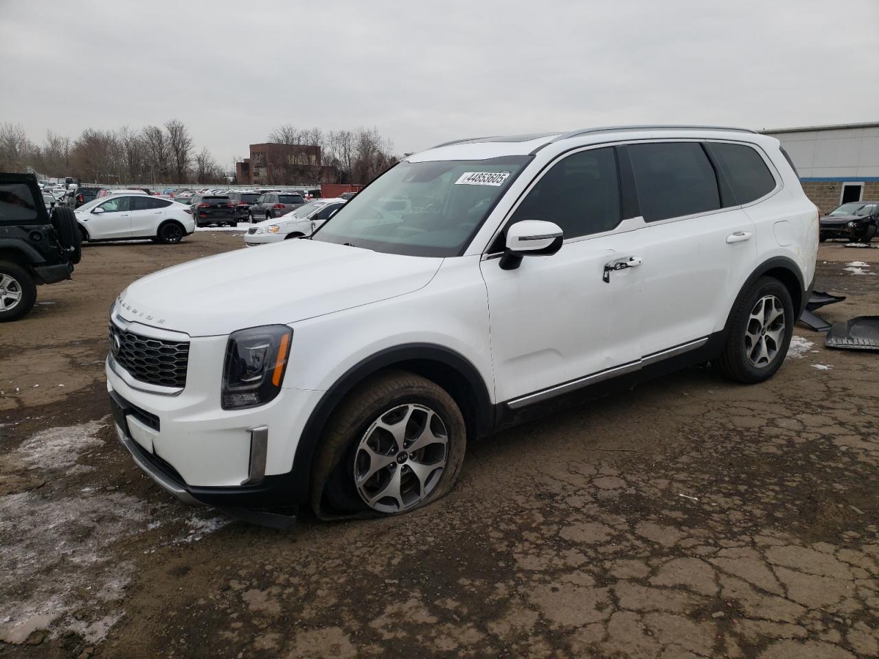 2020 Kia Telluride - Image 1