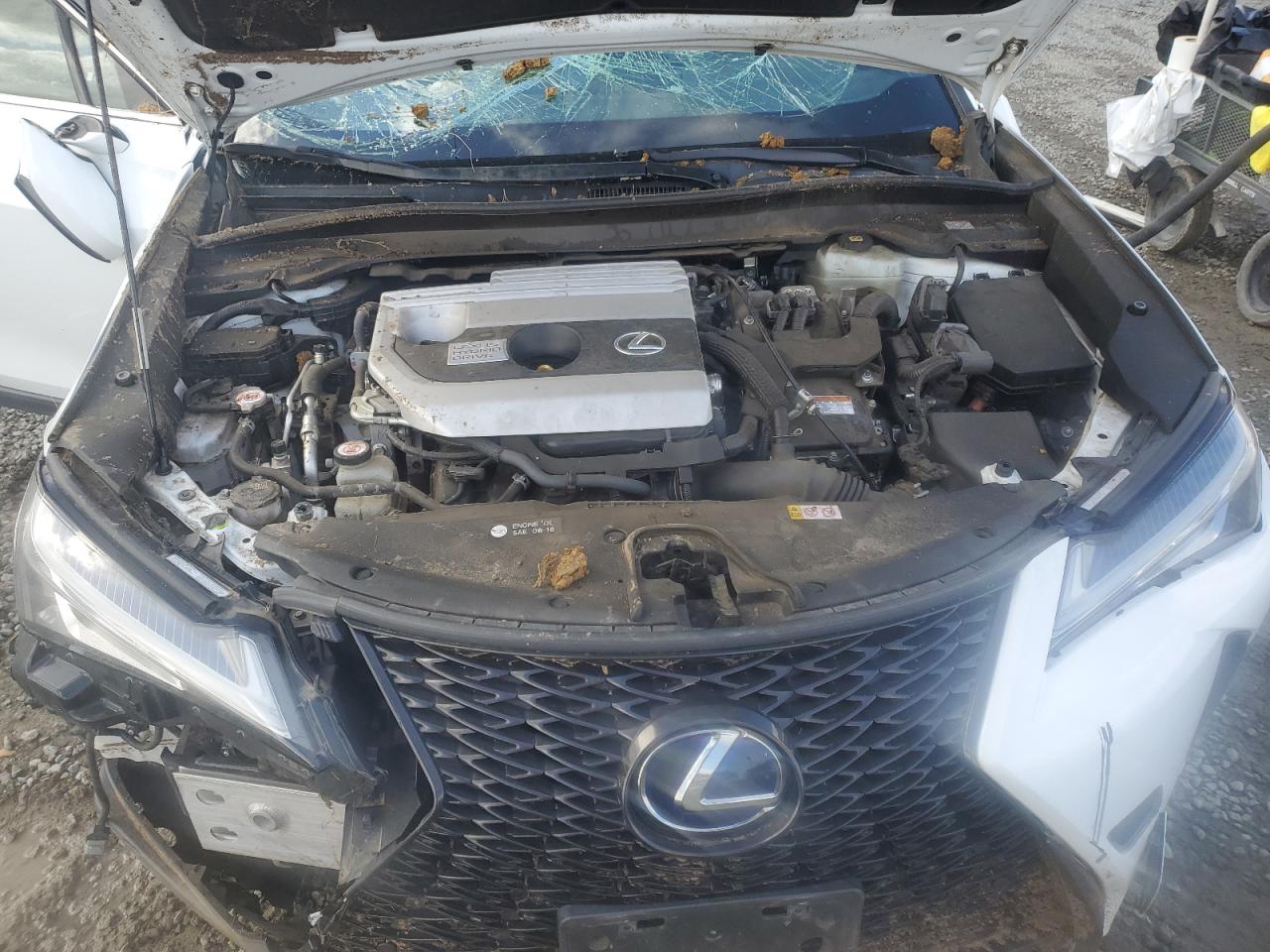 2020 Lexus UX - Image 13