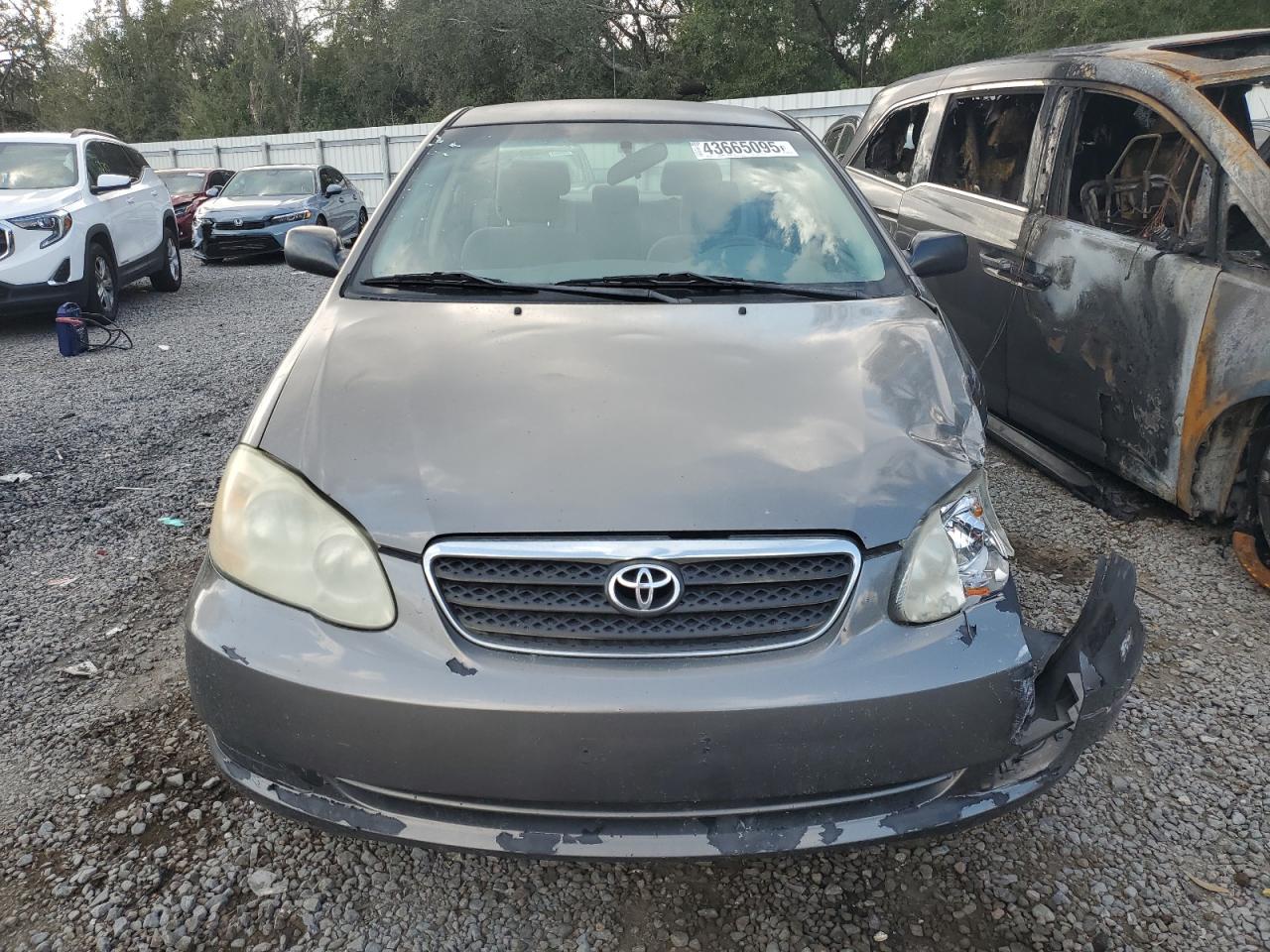 2008 Toyota Corolla - Image 5