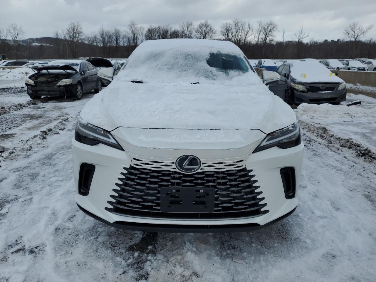 2024 Lexus RX - Image 5