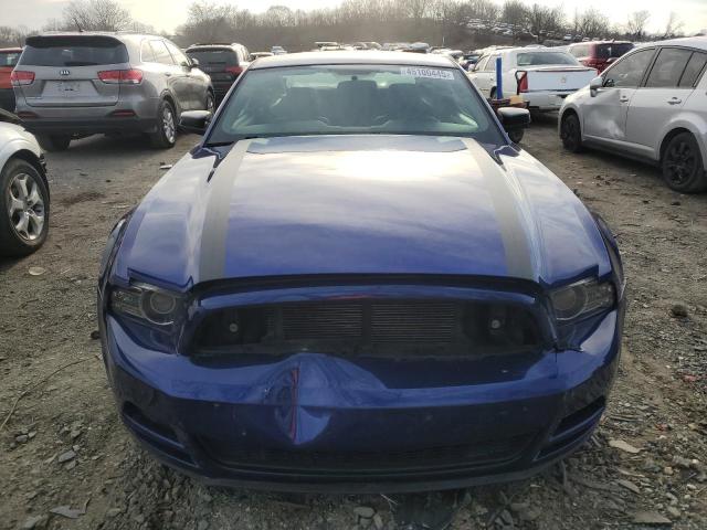 Coupet FORD ALL Models 2013 Blue