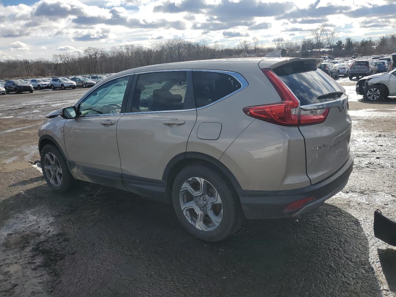 2019 Honda CR-V - Image 2
