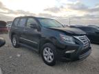 Temple, TX에서 판매 중인 2014 Lexus Gx 460 - Front End