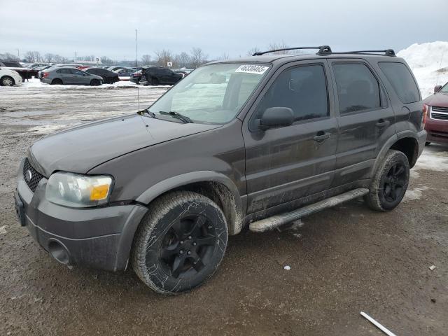 2006 Ford Escape Xlt