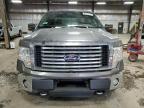 2010 Ford F150 Supercrew იყიდება Des Moines-ში, IA - Front End