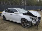 2013 Honda Accord Exl للبيع في Waldorf، MD - Front End