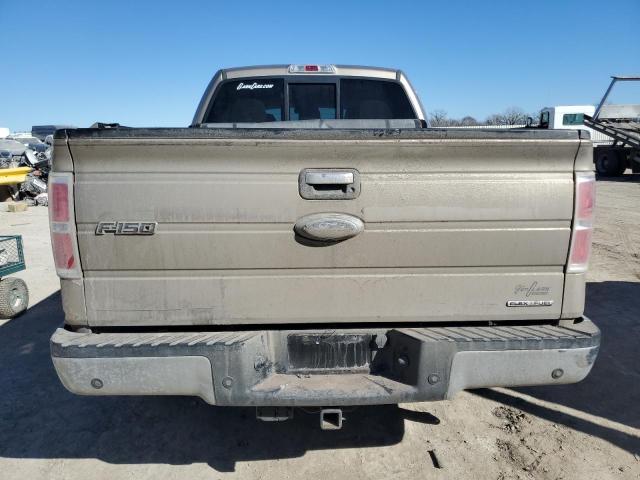  FORD F-150 2013 Колір засмаги