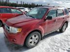 2011 FORD ESCAPE XLT for sale at Copart QC - MONTREAL