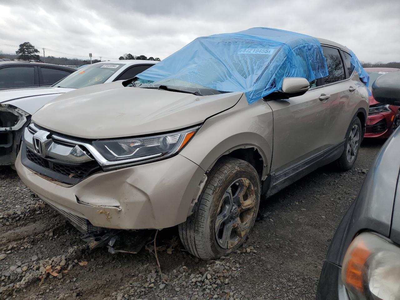 2019 Honda CR-V - Image 1