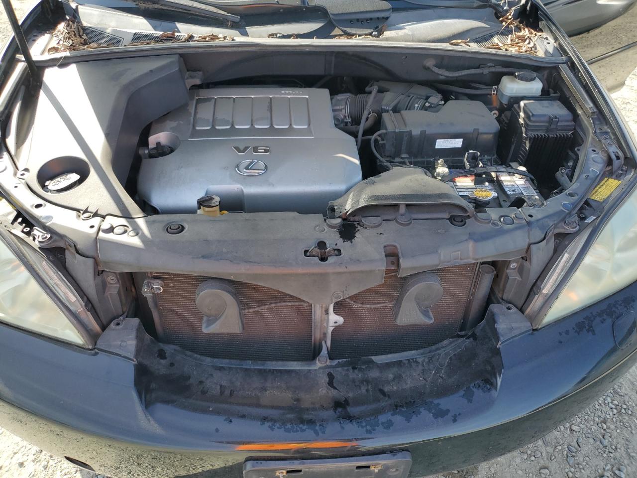 2007 Lexus RX - Image 12