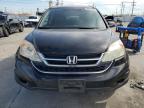 2010 Honda Cr-V Exl en Venta en Sun Valley, CA - Rear End