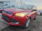 2014 FORD ESCAPE SE for sale at Copart OH - COLUMBUS