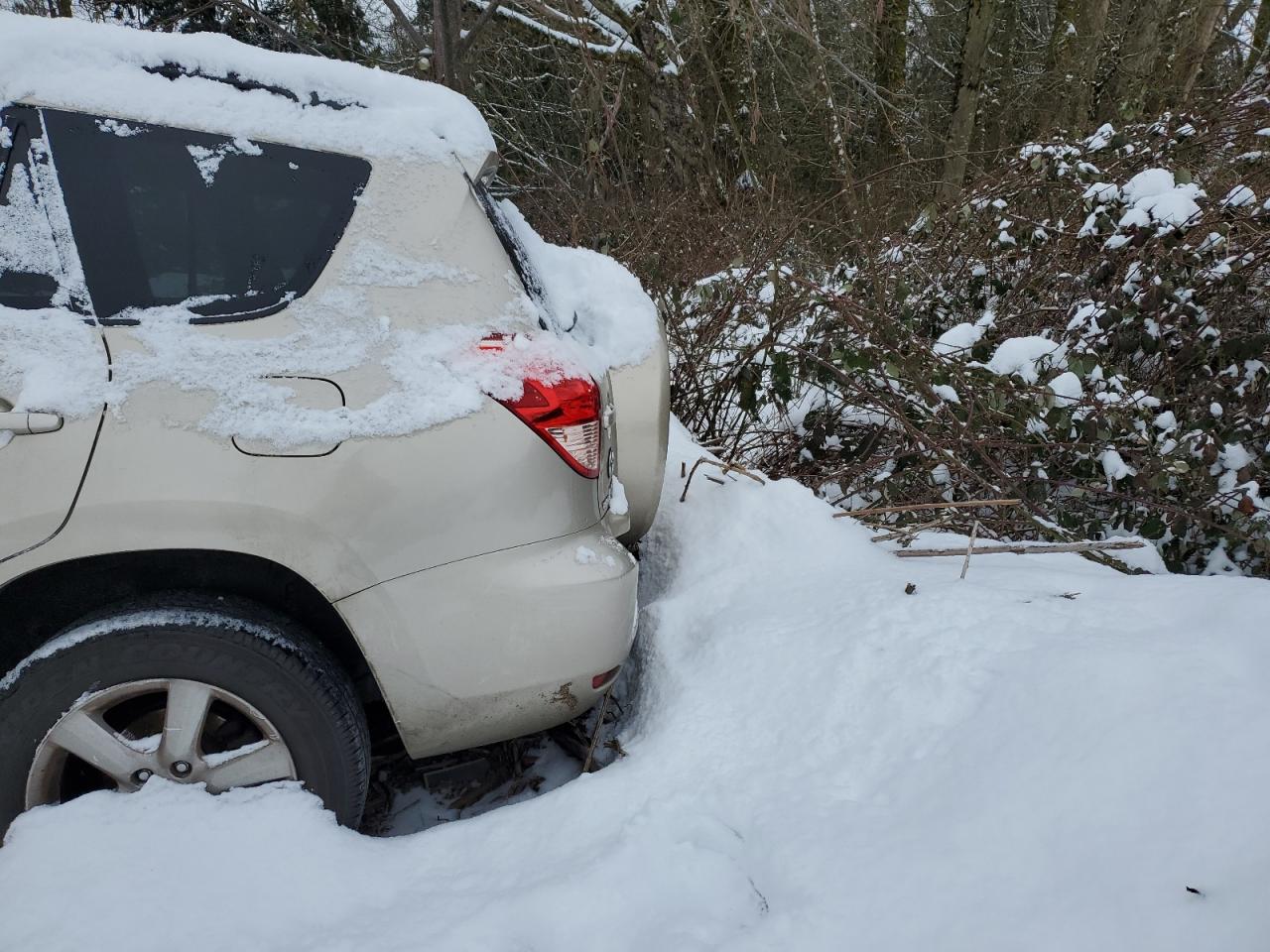 2008 Toyota Rav4 Limited VIN: JTMBD31V986081954 Lot: 88499245