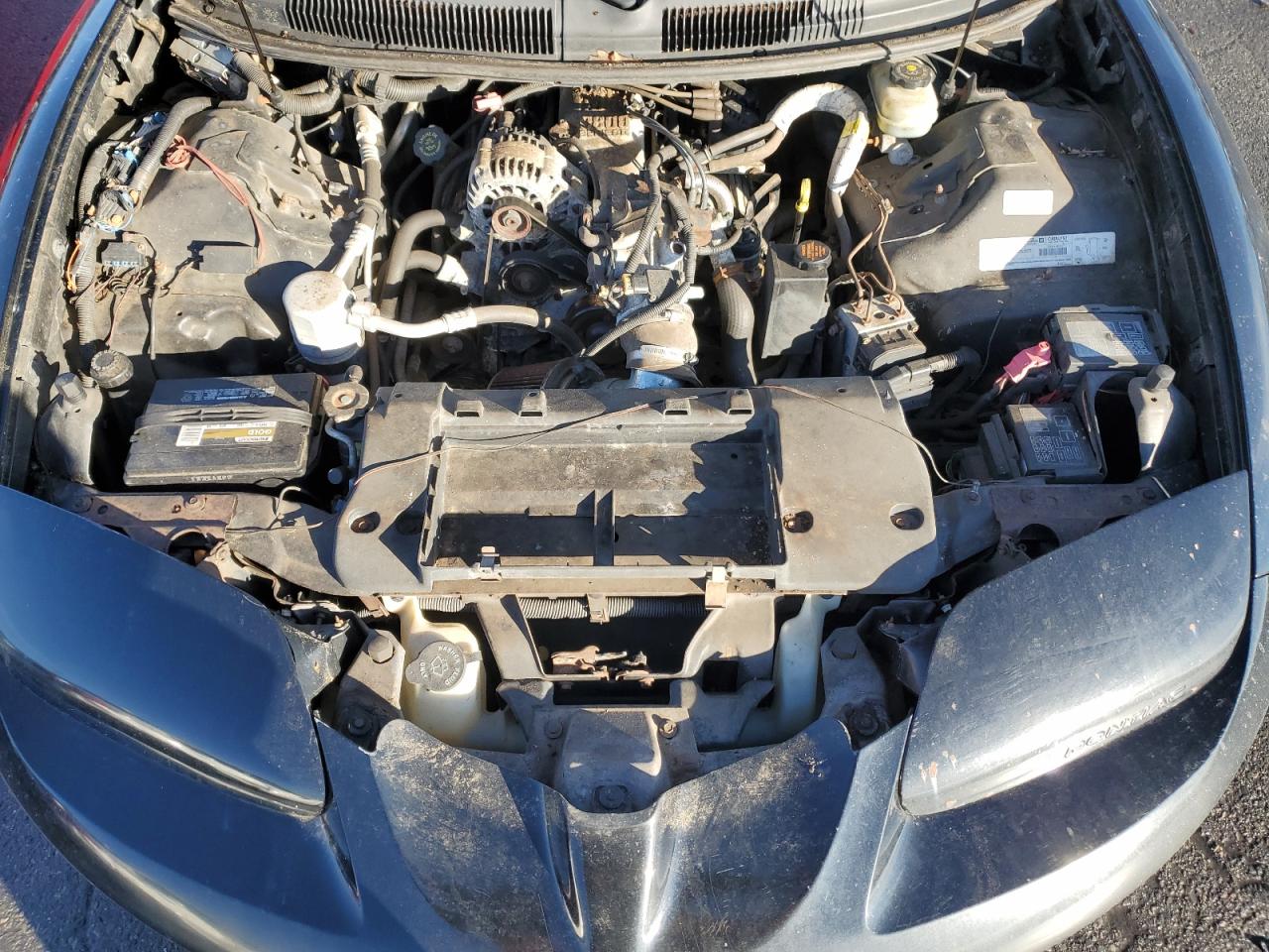 1998 Pontiac Firebird - Image 11