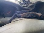 2004 Chevrolet Colorado  for Sale in Rogersville, MO - Burn - Interior