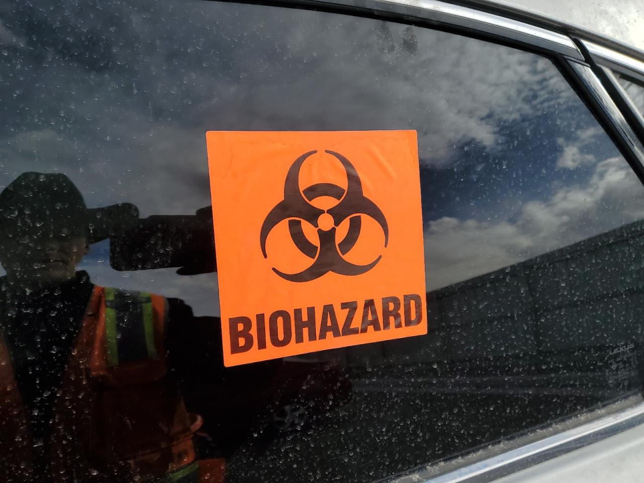 2015 Lexus Nx 300H VIN: JTJBJRBZ4F2020395 Lot: 43951295