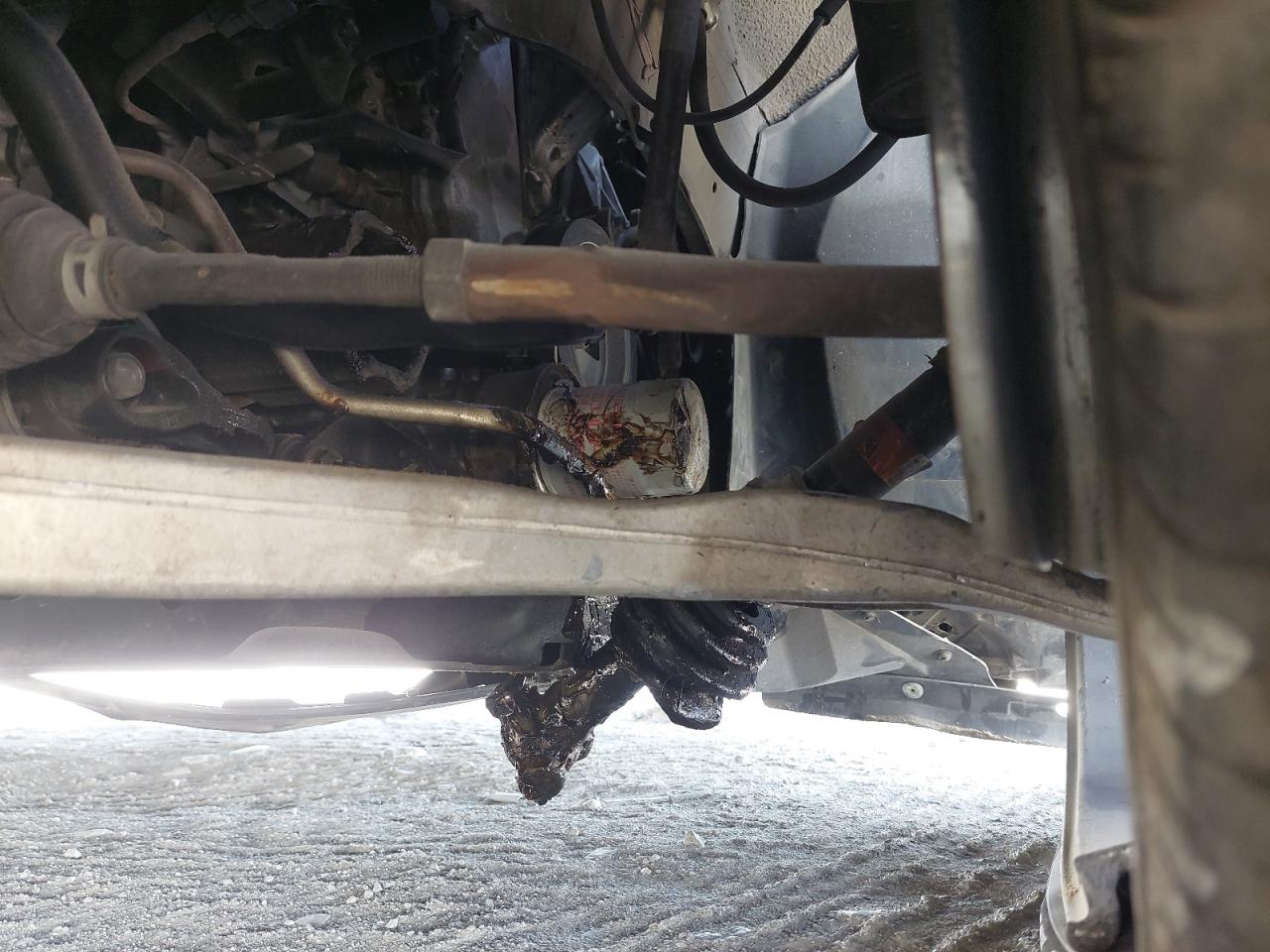 1N4AA6AP2HC410668 - 2017 Nissan MAXIMA - #44279875