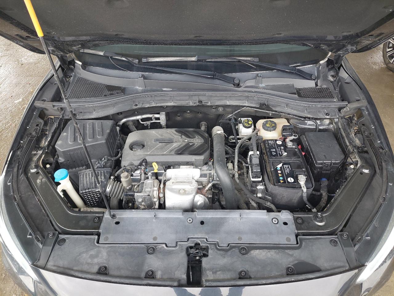 LSJW74C95PZ129525 - 2023 MG ZS - #45818865