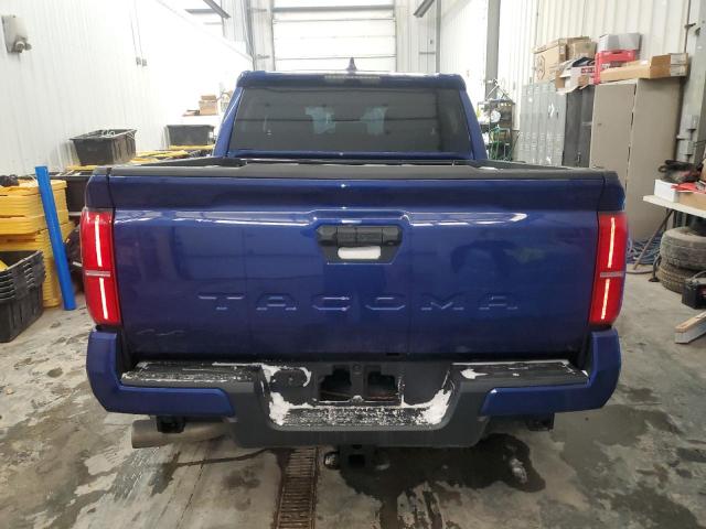  TOYOTA TACOMA 2024 Blue