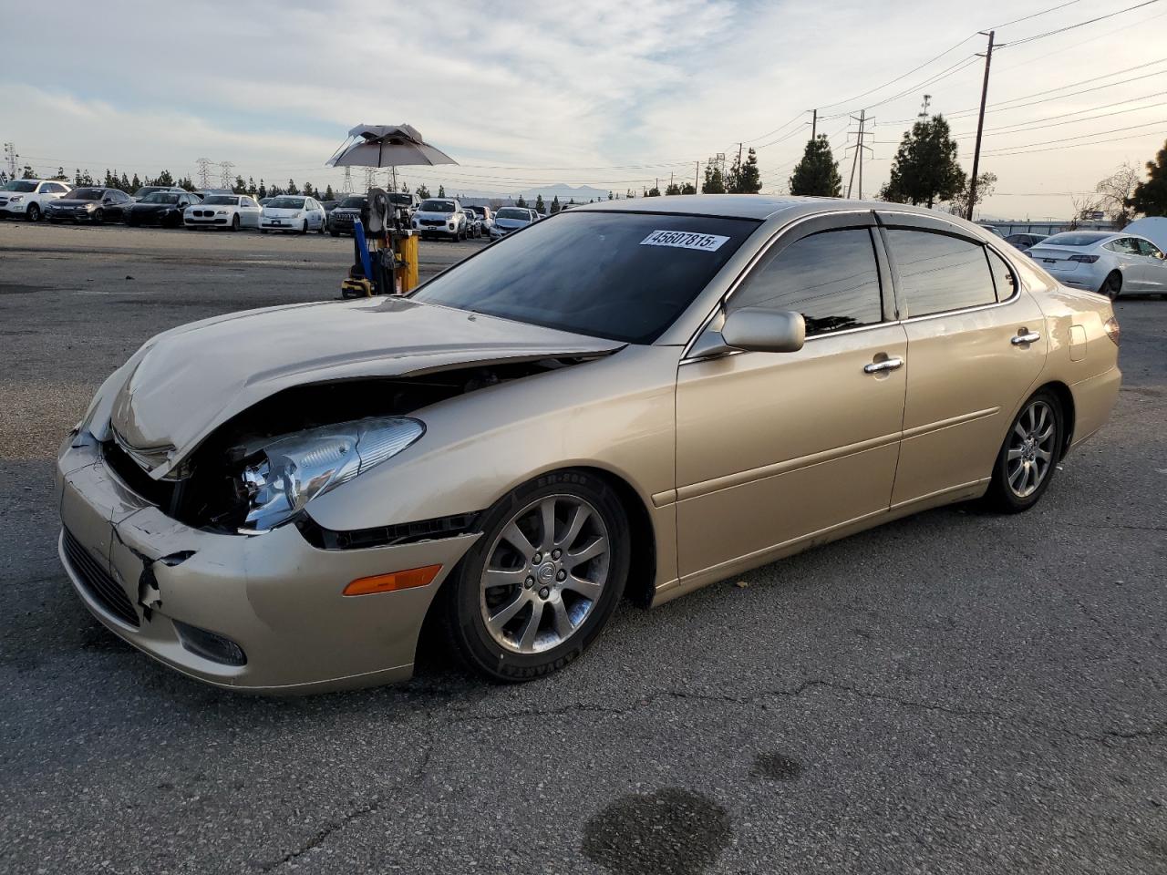 2003 Lexus ES - Image 1