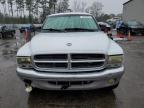 2003 Dodge Dakota Quad Slt للبيع في Harleyville، SC - Front End