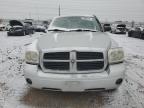 2007 Dodge Dakota Slt for Sale in Elgin, IL - Side
